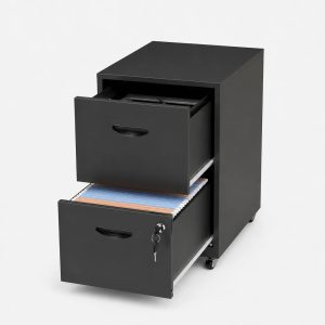 Metal File Cabinets 2 Drawer