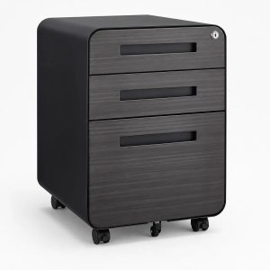 Metal Rolling File Cabinet
